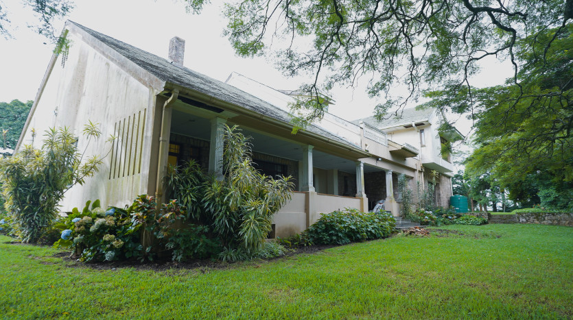 Majestic Cane Farm with Development Potential in Eshowe Property Images