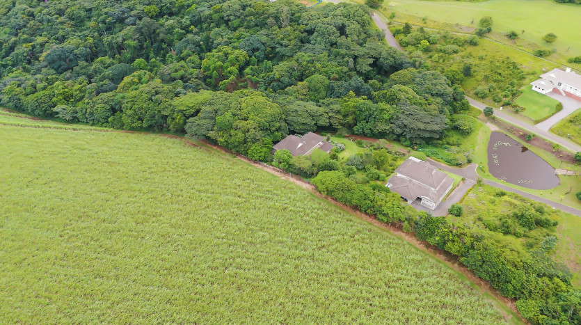 Majestic Cane Farm with Development Potential in Eshowe Property Images