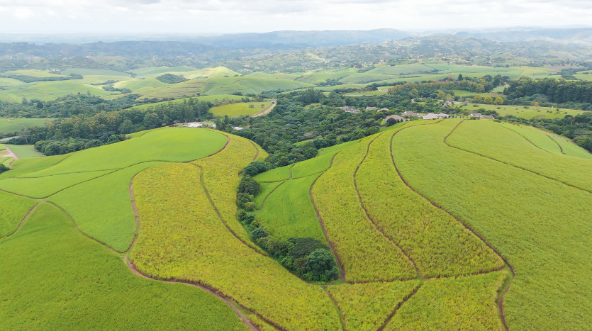 Majestic Cane Farm with Development Potential in Eshowe Property Images