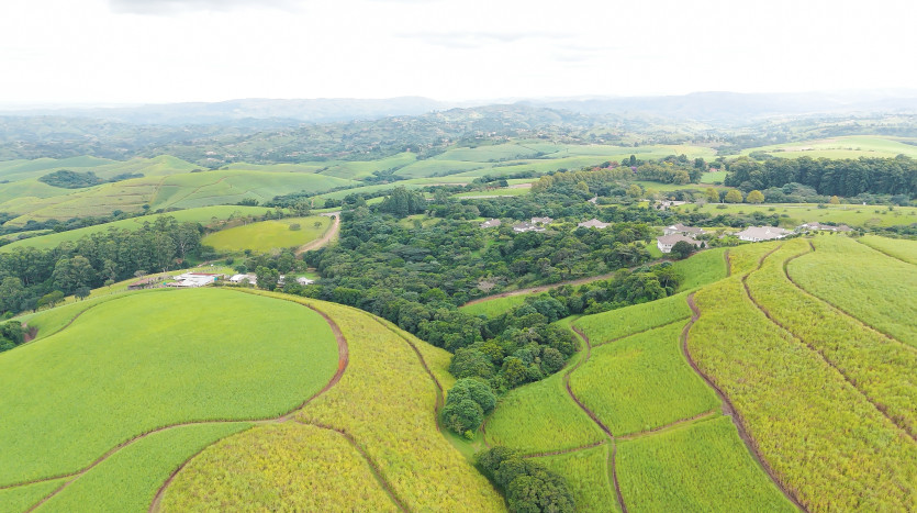 Majestic Cane Farm with Development Potential in Eshowe Property Images