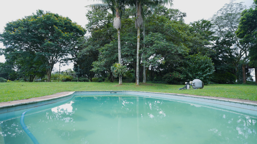Majestic Cane Farm with Development Potential in Eshowe Property Images