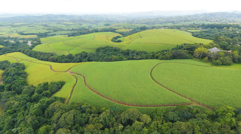 Majestic Cane Farm with Development Potential in Eshowe Property Lead Image