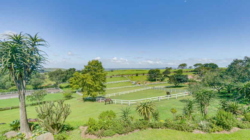 Prestigious Equestrian Facility Assagay, Durban Property Images