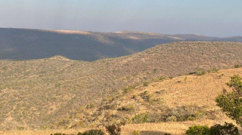 ± 700 Ha Land In Louwsburg with Game Farm Potential Property Images