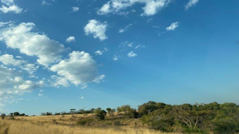 ± 700 Ha Land In Louwsburg with Game Farm Potential Property Images
