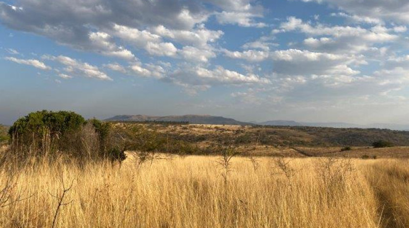 ± 700 Ha Land In Louwsburg with Game Farm Potential Property Images