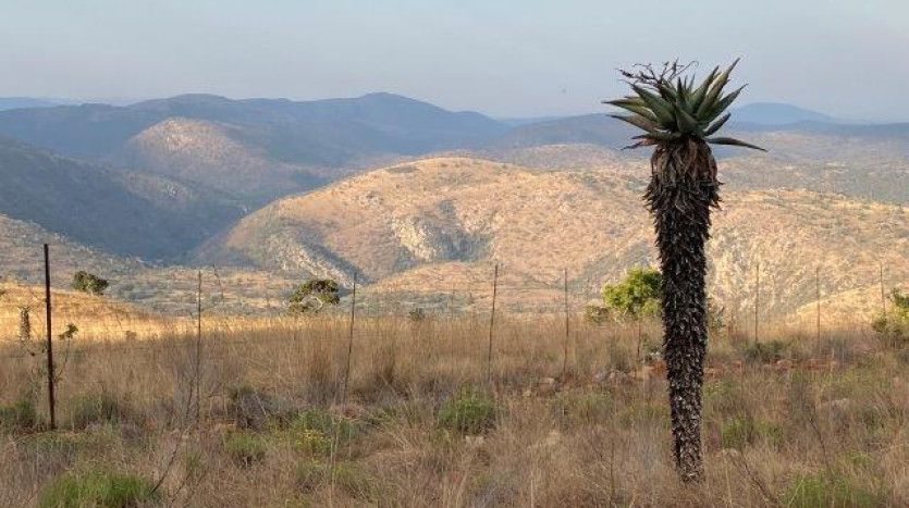 ± 700 Ha Land In Louwsburg with Game Farm Potential Property Images