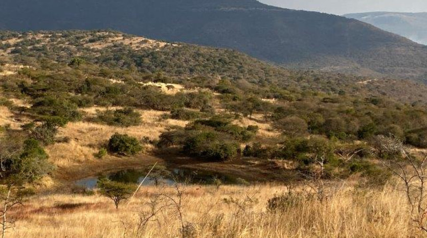 ± 700 Ha Land In Louwsburg with Game Farm Potential Property Images