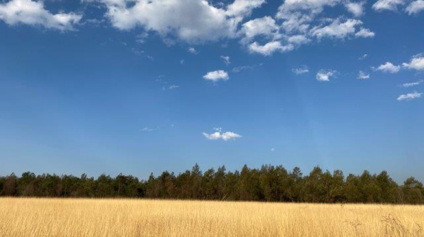 ± 700 Ha Land In Louwsburg with Game Farm Potential Property Images