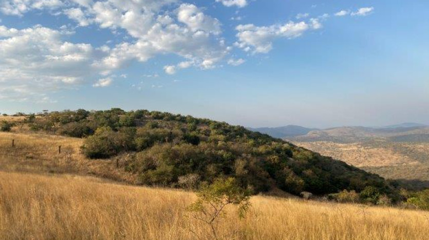 ± 700 Ha Land In Louwsburg with Game Farm Potential Property Images