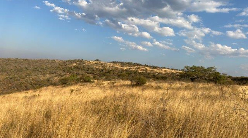 ± 700 Ha Land In Louwsburg with Game Farm Potential Property Images