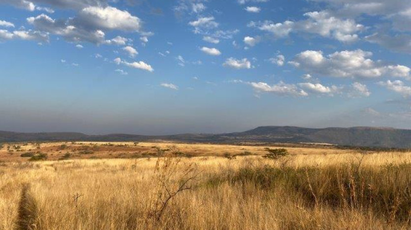 ± 700 Ha Land In Louwsburg with Game Farm Potential Property Images