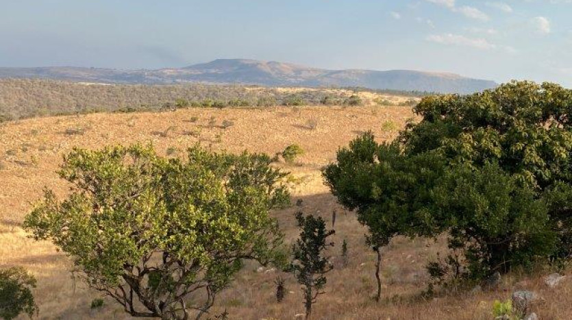 ± 700 Ha Land In Louwsburg with Game Farm Potential Property Images