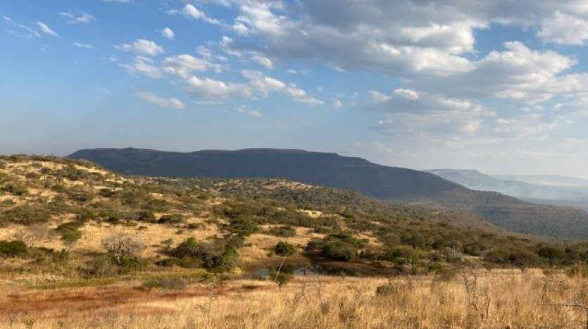 ± 700 Ha Land In Louwsburg with Game Farm Potential Property Images
