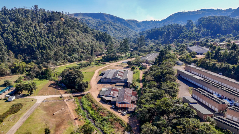 Large Track of Land with Multiple Warehouses Business Park & Conservancy Zoning, Durban. Property Images