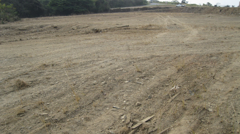 Industrial Development Land ± 5km From King Shaka International Airport Property Images