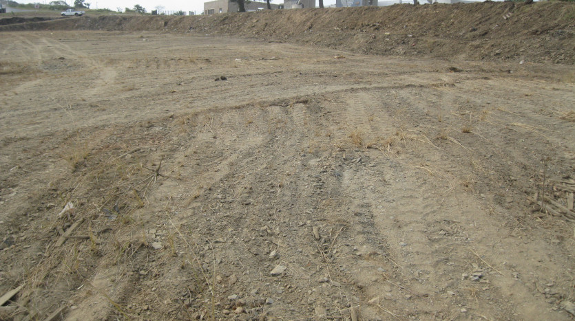 Industrial Development Land ± 5km From King Shaka International Airport Property Images