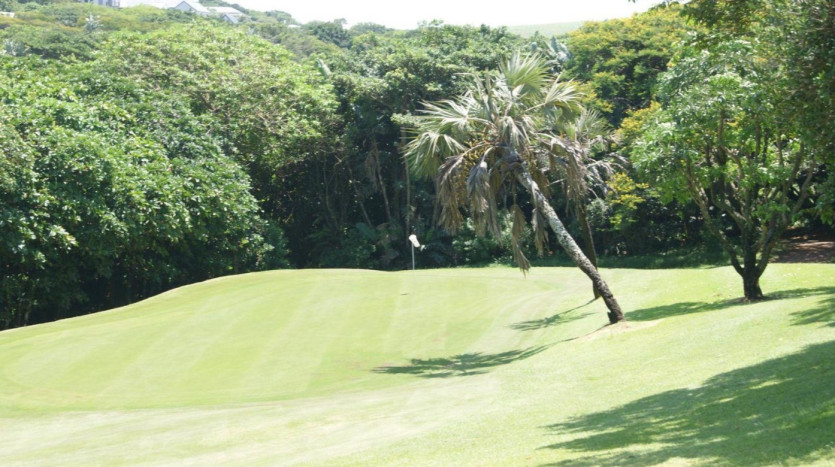 Residential Development Site Prince's Grant Golf Course. Property Images