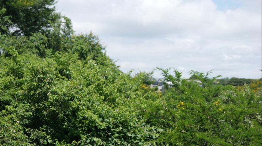 Residential Development Site Prince's Grant Golf Course. Property Images