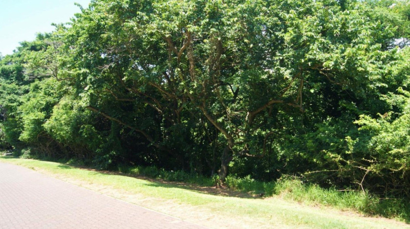 Residential Development Site Prince's Grant Golf Course. Property Images