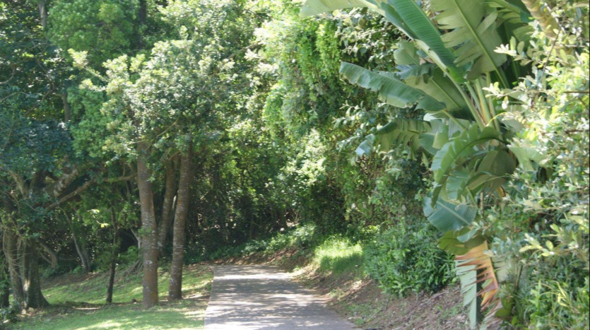 Residential Development Site Prince's Grant Golf Course. Property Images