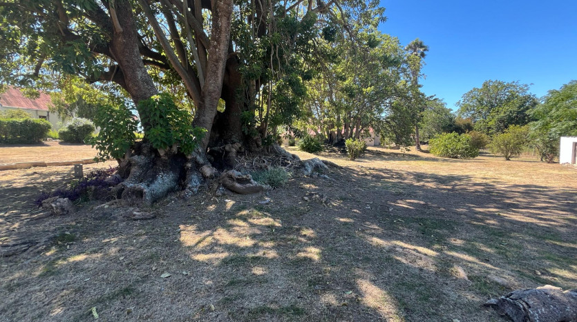 Large Development Site King William's Town Property Images