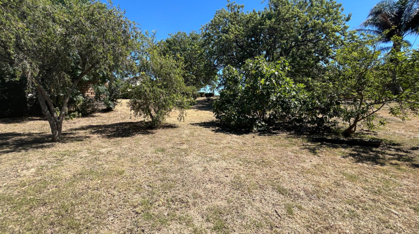 Large Development Site King William's Town Property Images