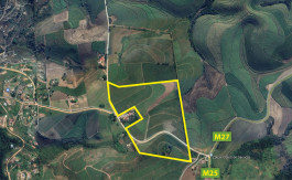 Image of Property