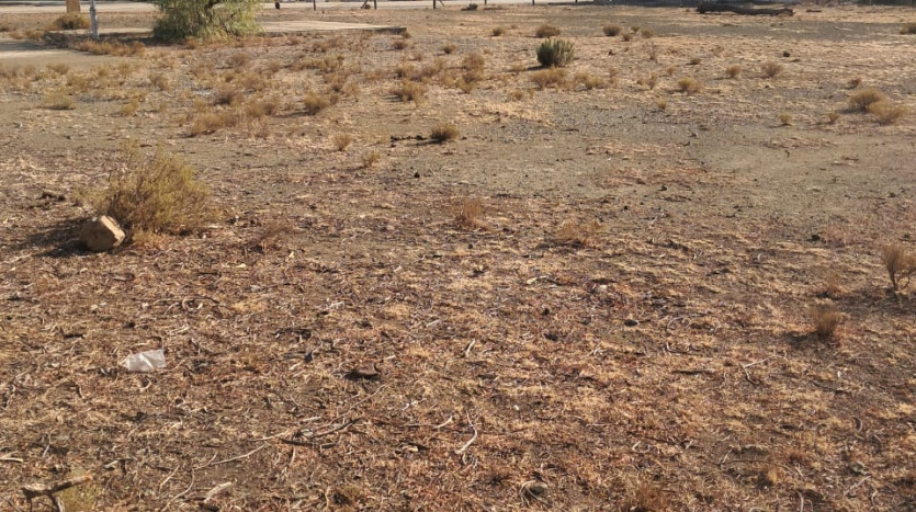 TELKOM PORTFOLIO: Development Land New Bethesda EC Property Images