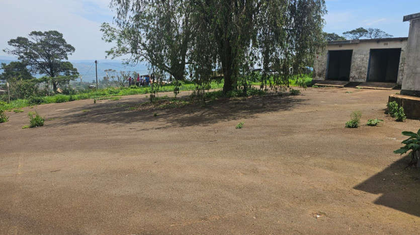 TELKOM PORTFOLIO: Exchange Site, Nongoma CBD Property Images