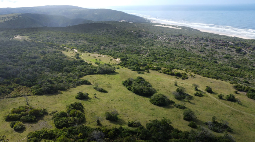 Seaside Farm - Blue Horizon Bay Property Images