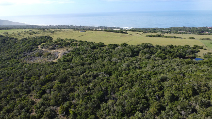Seaside Farm - Blue Horizon Bay Property Images