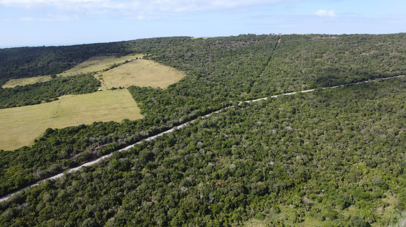 Seaside Farm - Blue Horizon Bay Property Images