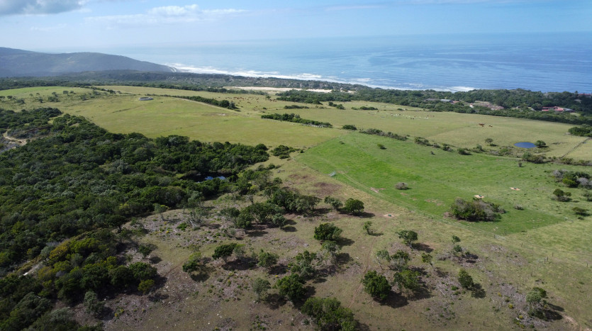 Seaside Farm - Blue Horizon Bay Property Images