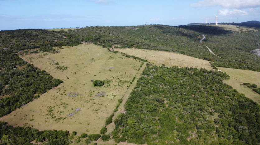 Seaside Farm - Blue Horizon Bay Property Images