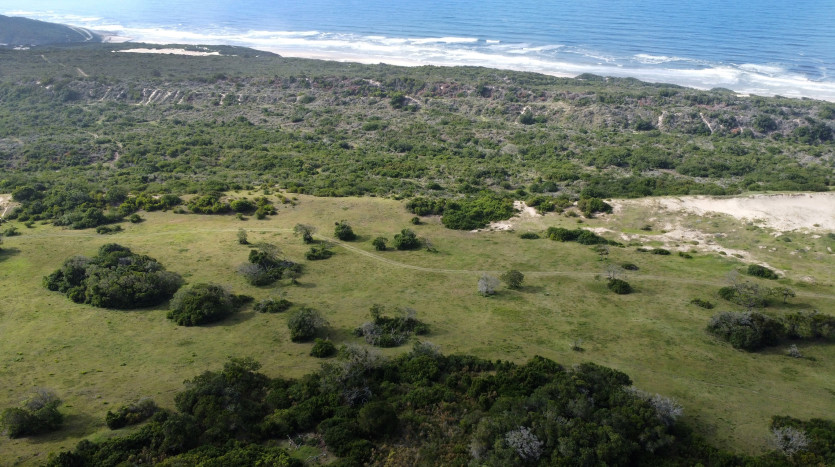 Seaside Farm - Blue Horizon Bay Property Images