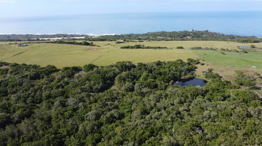 Seaside Farm - Blue Horizon Bay Property Images