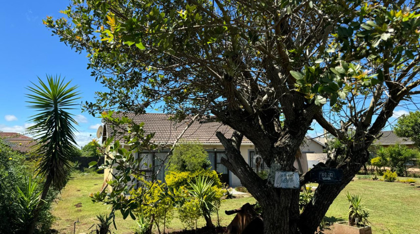 3 Bedroom Home in Mthatha Property Images