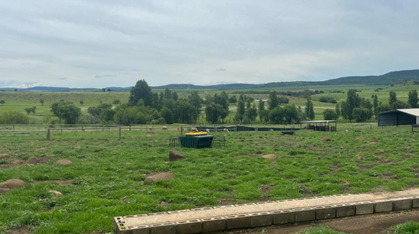 ± 62 Ha Winterton Farm Property Images