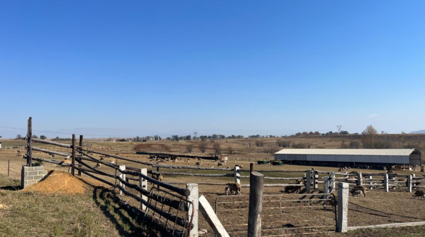 ± 62 Ha Winterton Farm Property Images