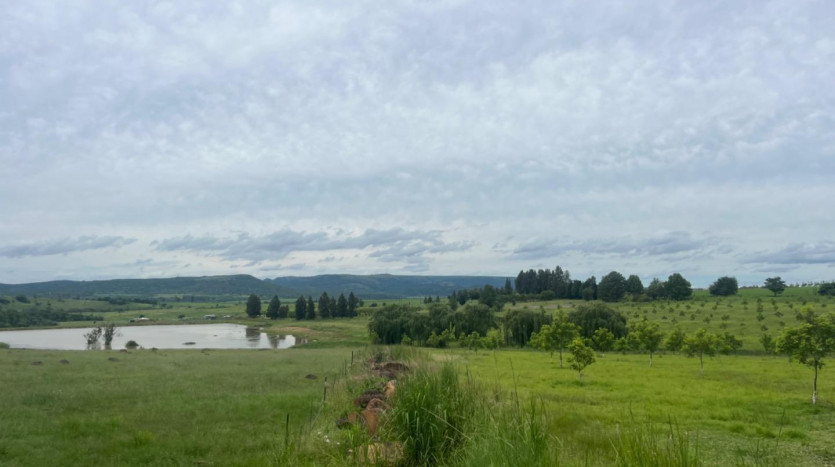 ± 62 Ha Winterton Farm Property Images