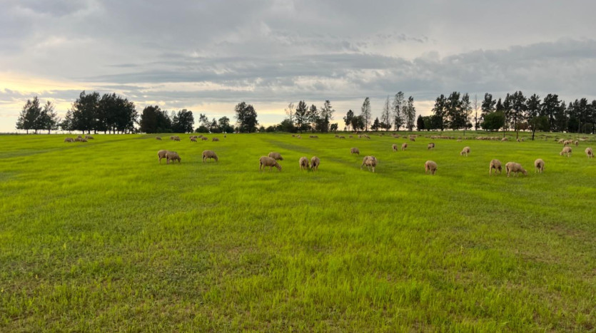 ± 62 Ha Winterton Farm Property Images