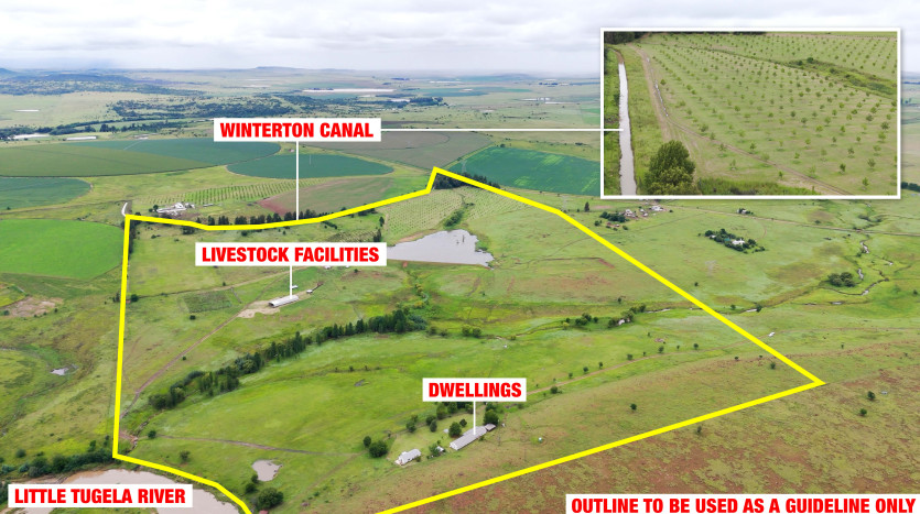 ± 62 Ha Winterton Farm Property Lead Image