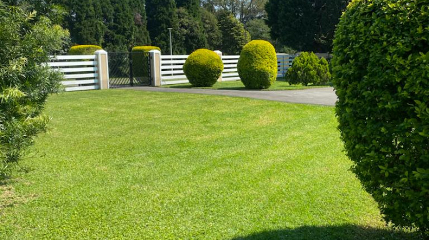 Worlds View 3 Bedroom House On Auction Property Images