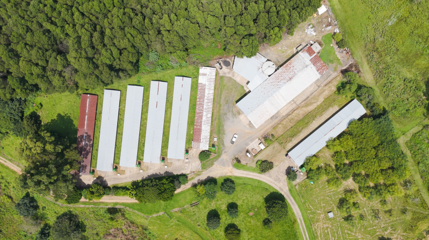 Poultry Farms - Layers & Broilers with Abattoir Property Images