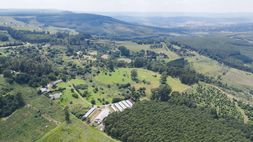 Poultry Farms - Layers & Broilers with Abattoir Property Images