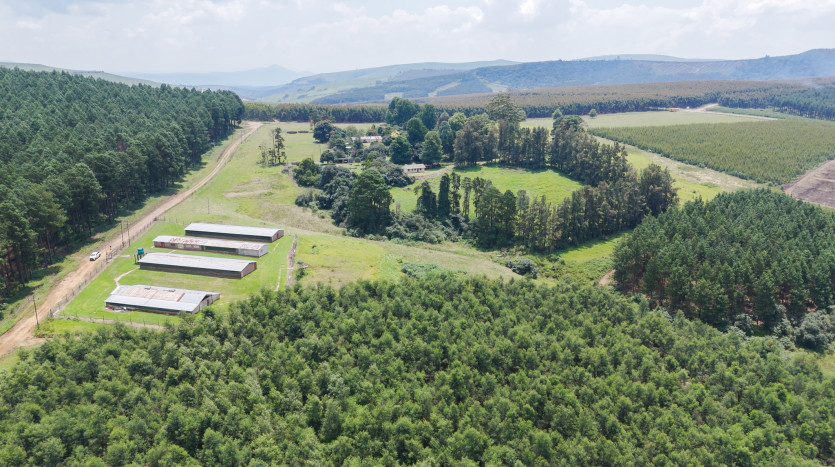 Poultry Farms - Layers & Broilers with Abattoir Property Images