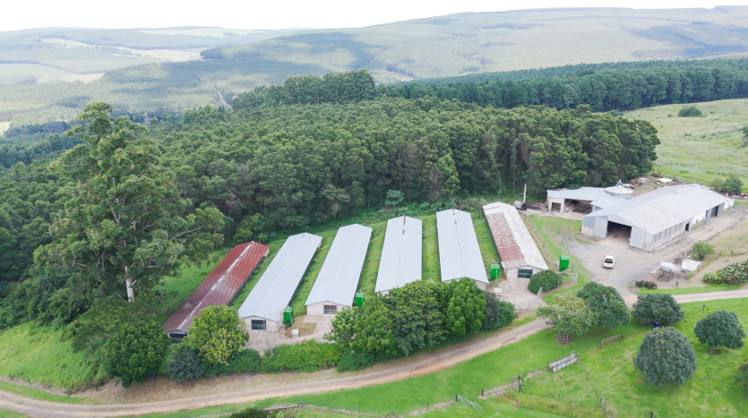 Poultry Farms - Layers & Broilers with Abattoir Property Images