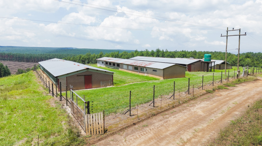 Poultry Farms - Layers & Broilers with Abattoir Property Images