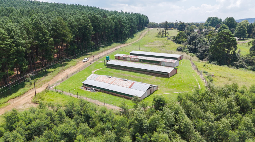 Poultry Farms - Layers & Broilers with Abattoir Property Images